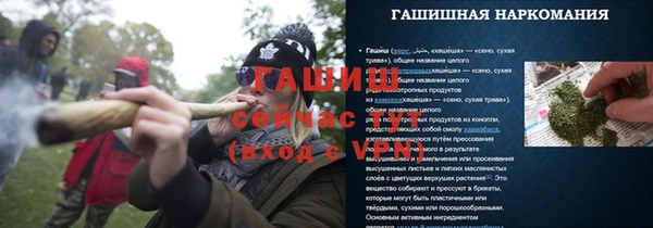 ПСИЛОЦИБИНОВЫЕ ГРИБЫ Абаза