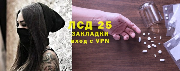 ПСИЛОЦИБИНОВЫЕ ГРИБЫ Абаза