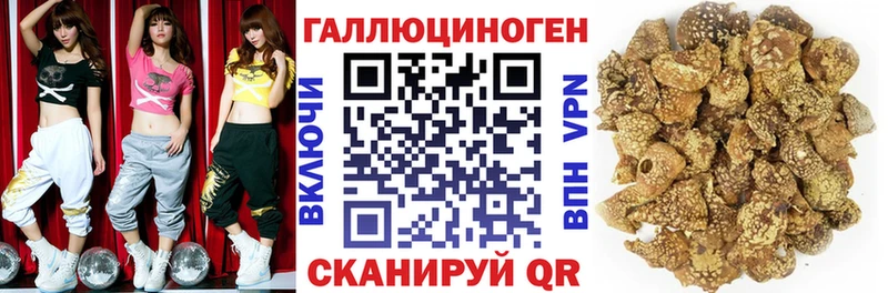 купить  цена  Дербент  Псилоцибиновые грибы Psilocybine cubensis 